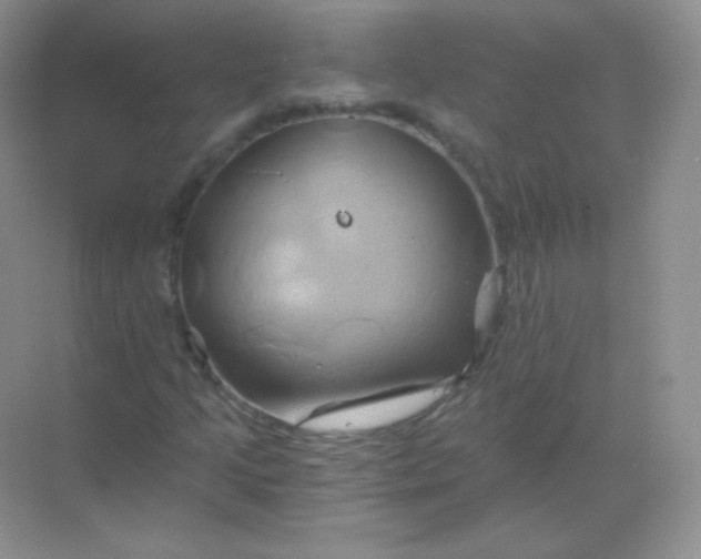 X0000068861205200605192008