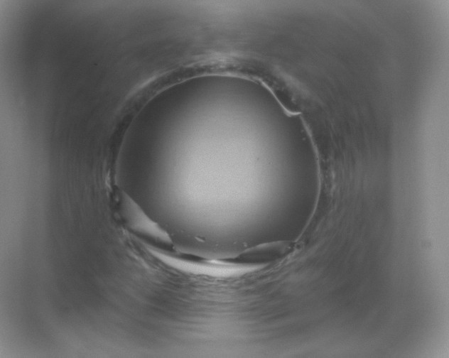 X0000068861206200605192008