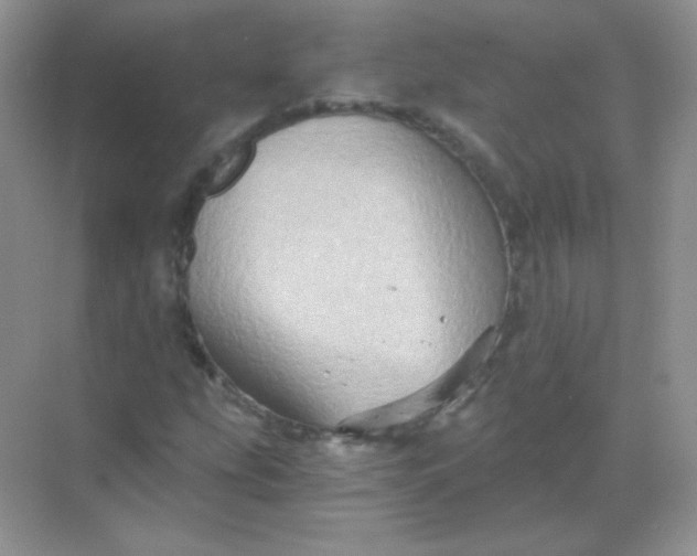 X0000068861207200605192008