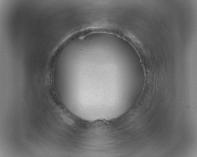 X0000068861208200605192008