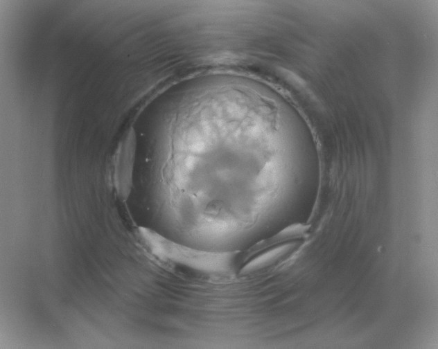 X0000068861209200605192008