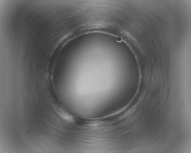 X0000068861210200605192008