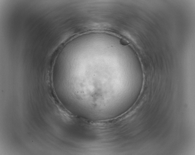 X0000068861211200605192008