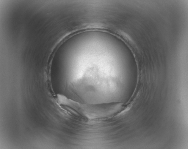 X0000068861212200605192008