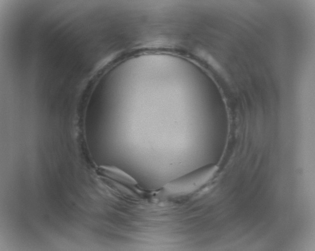 X0000068861213200605192008