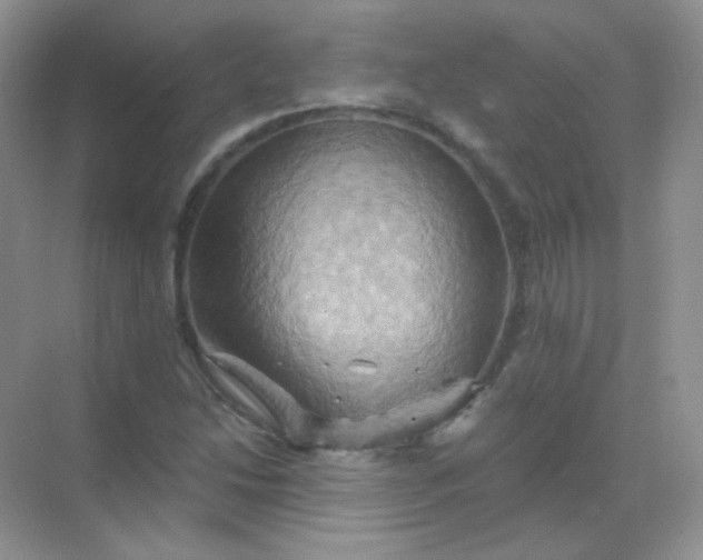 X0000068861214200605192008