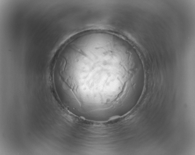 X0000068861215200605192008