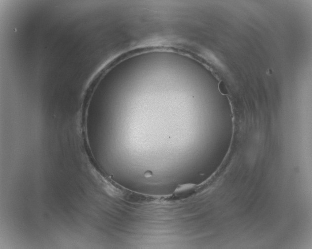 X0000068861216200605192008