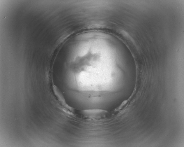 X0000068861217200605192008