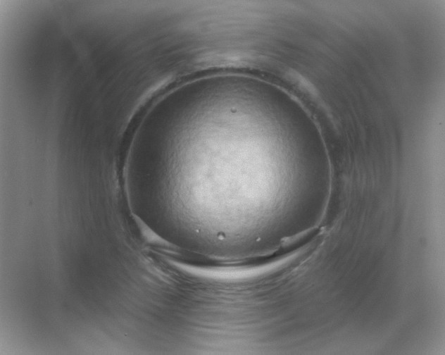 X0000068861218200605192008