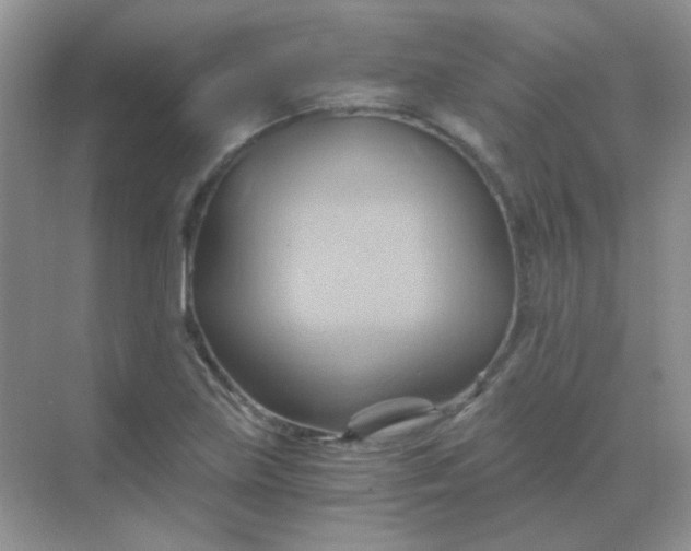 X0000068861219200605192008