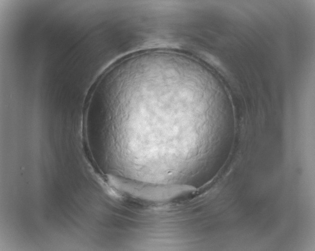 X0000068861220200605192008