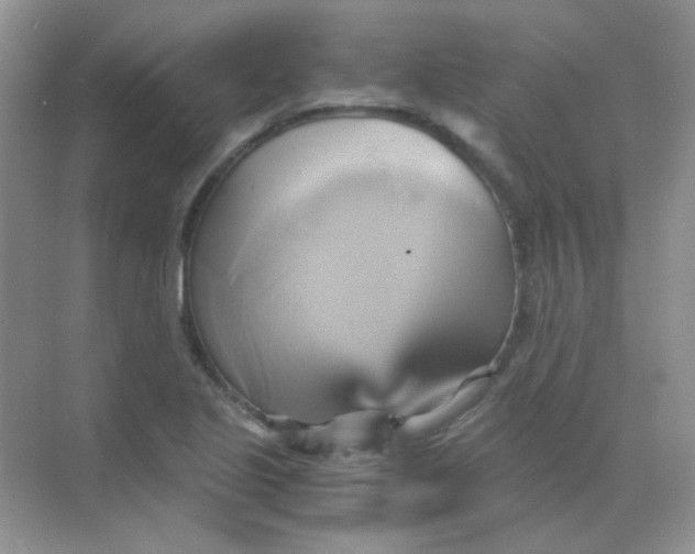 X0000068861221200605192008