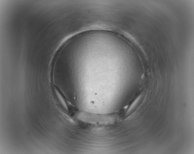 X0000068861222200605192008