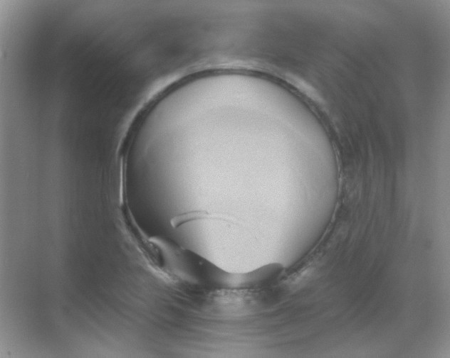 X0000068861223200605192008