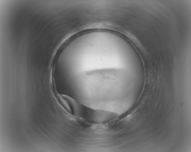 X0000068861224200605192008