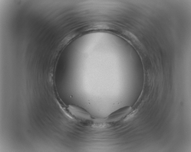 X0000068861225200605192009