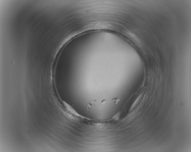 X0000068861226200605192009