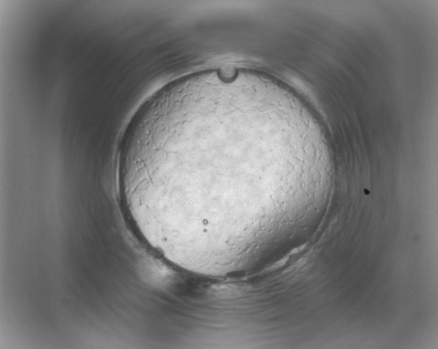 X0000068861227200605192009