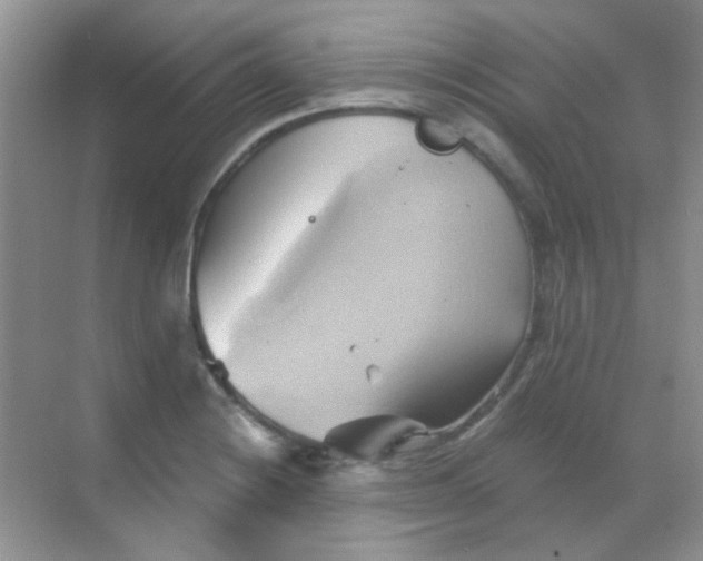 X0000068861228200605192009