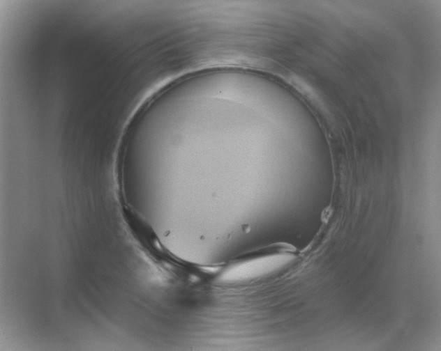 X0000068861230200605192009