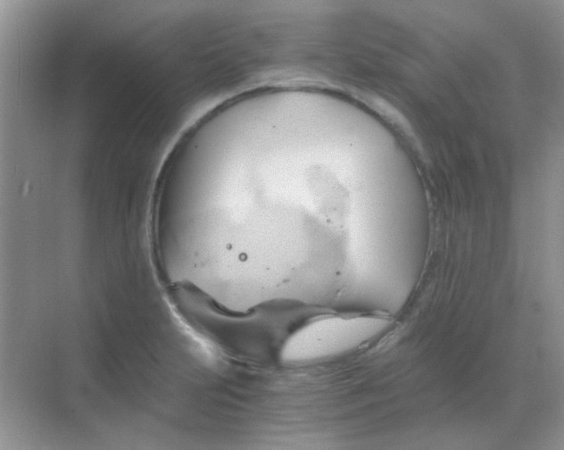 X0000068861231200605192009