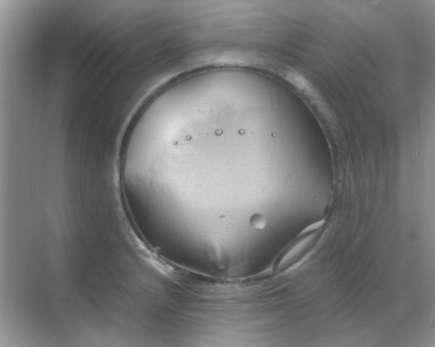 X0000068861232200605192009