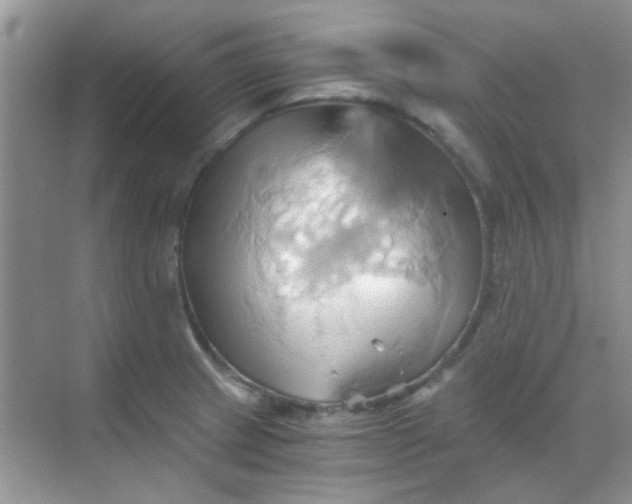 X0000068861233200605192009