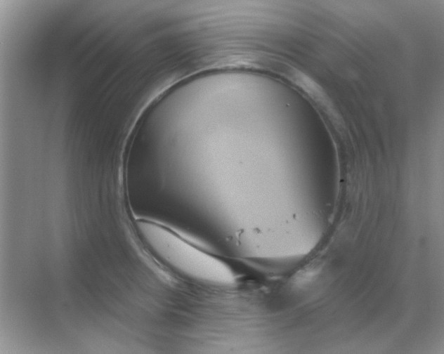 X0000068861234200605192009