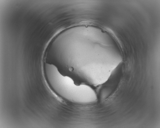 X0000068861235200605192009