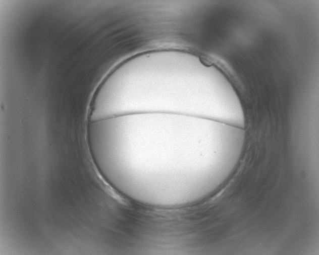 X0000068861236200605192009