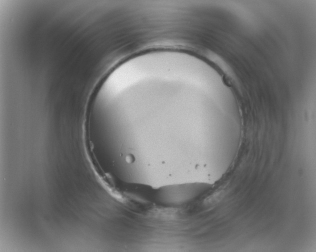 X0000068861237200605192009