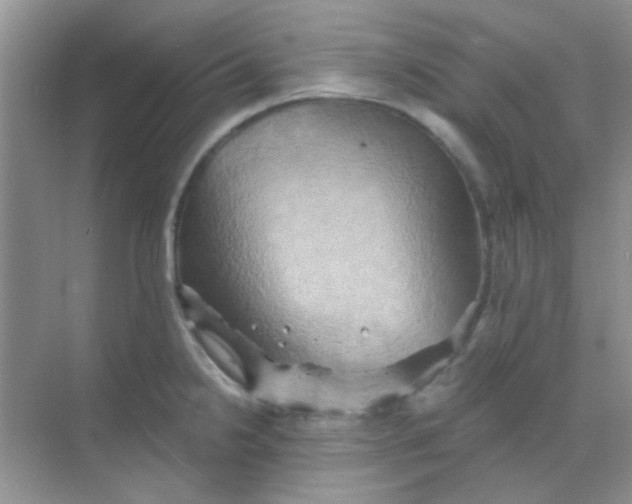 X0000068861238200605192009