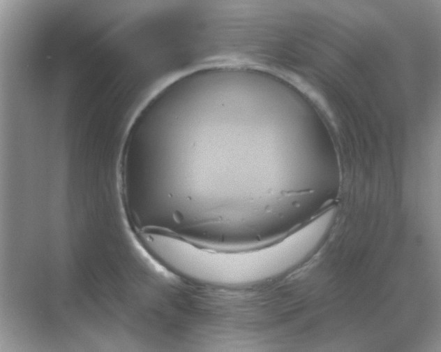 X0000068861239200605192009