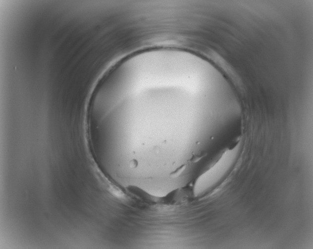 X0000068861240200605192009