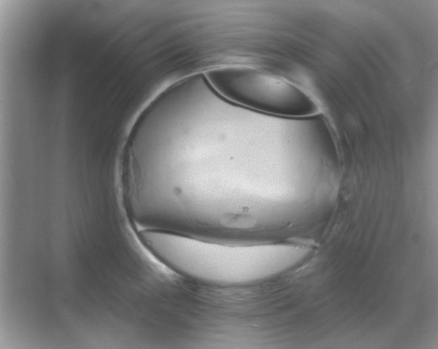 X0000068861243200605192009