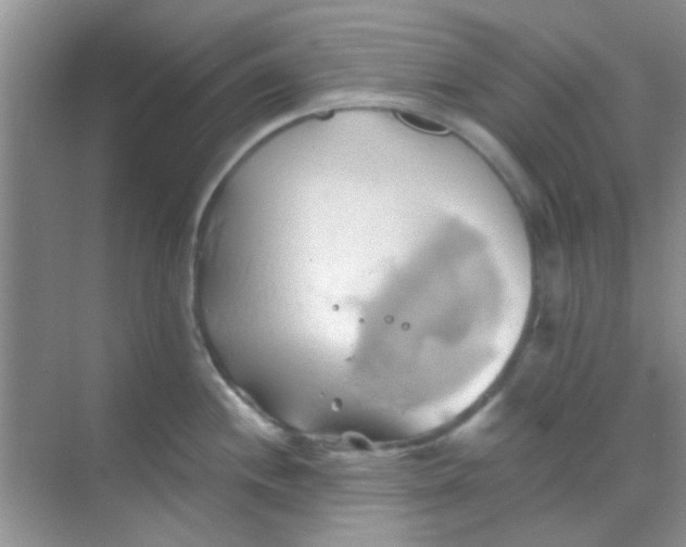 X0000068861244200605192009