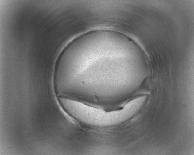 X0000068861245200605192009