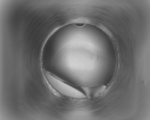 X0000068861248200605192009