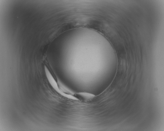 X0000068861250200605192008