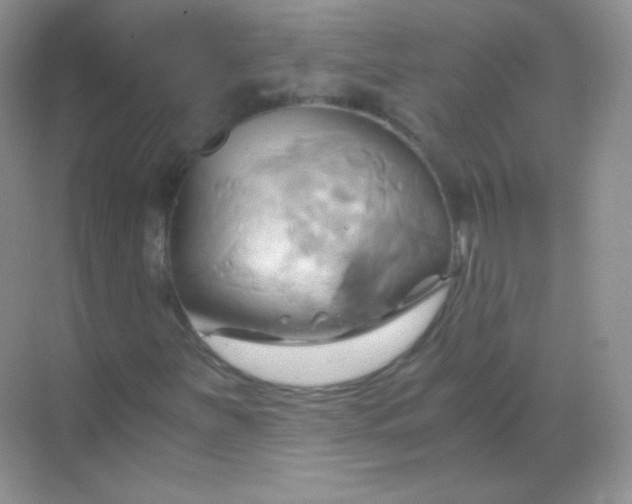 X0000068861251200605192008