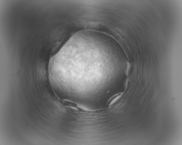 X0000068861252200605192008