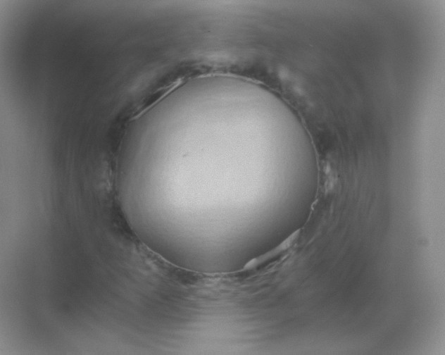 X0000068861253200605192008