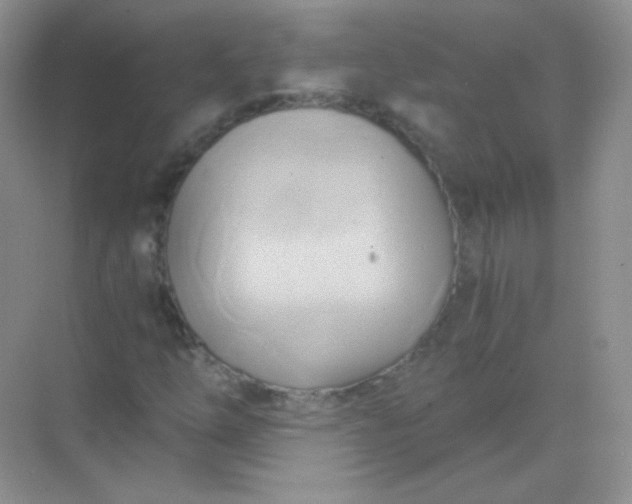 X0000068861254200605192008