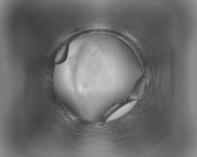 X0000068861255200605192008