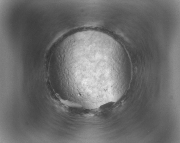 X0000068861256200605192008