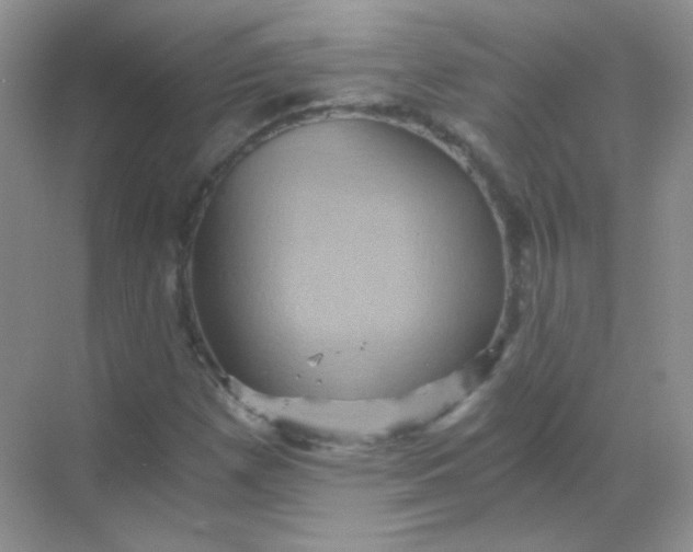 X0000068861257200605192008