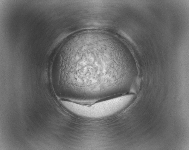 X0000068861259200605192008