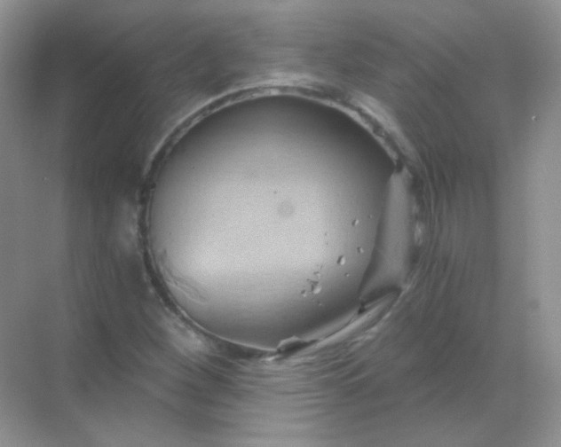 X0000068861260200605192008