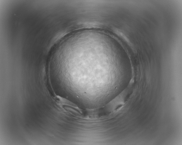 X0000068861261200605192008